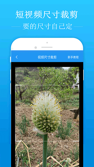 特朗普政府要求欧盟放弃AI监管新规