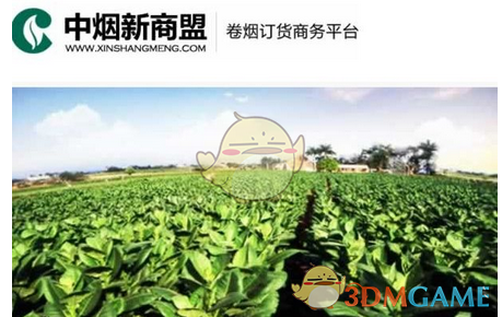 DeepSeek商标被提前36小时抢注，抢注者是梁文峰校友，早移居美国，是个商标二道贩子！网友点评：伤害中国人最凶的就是香蕉人